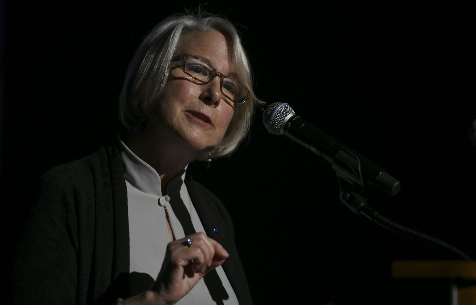 Highlights From Interaction Forum 2018 Usaid S Mark Green Innovative