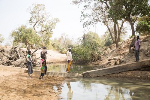 Four people stand by a river. Two are crossing over a makeshift bridge.