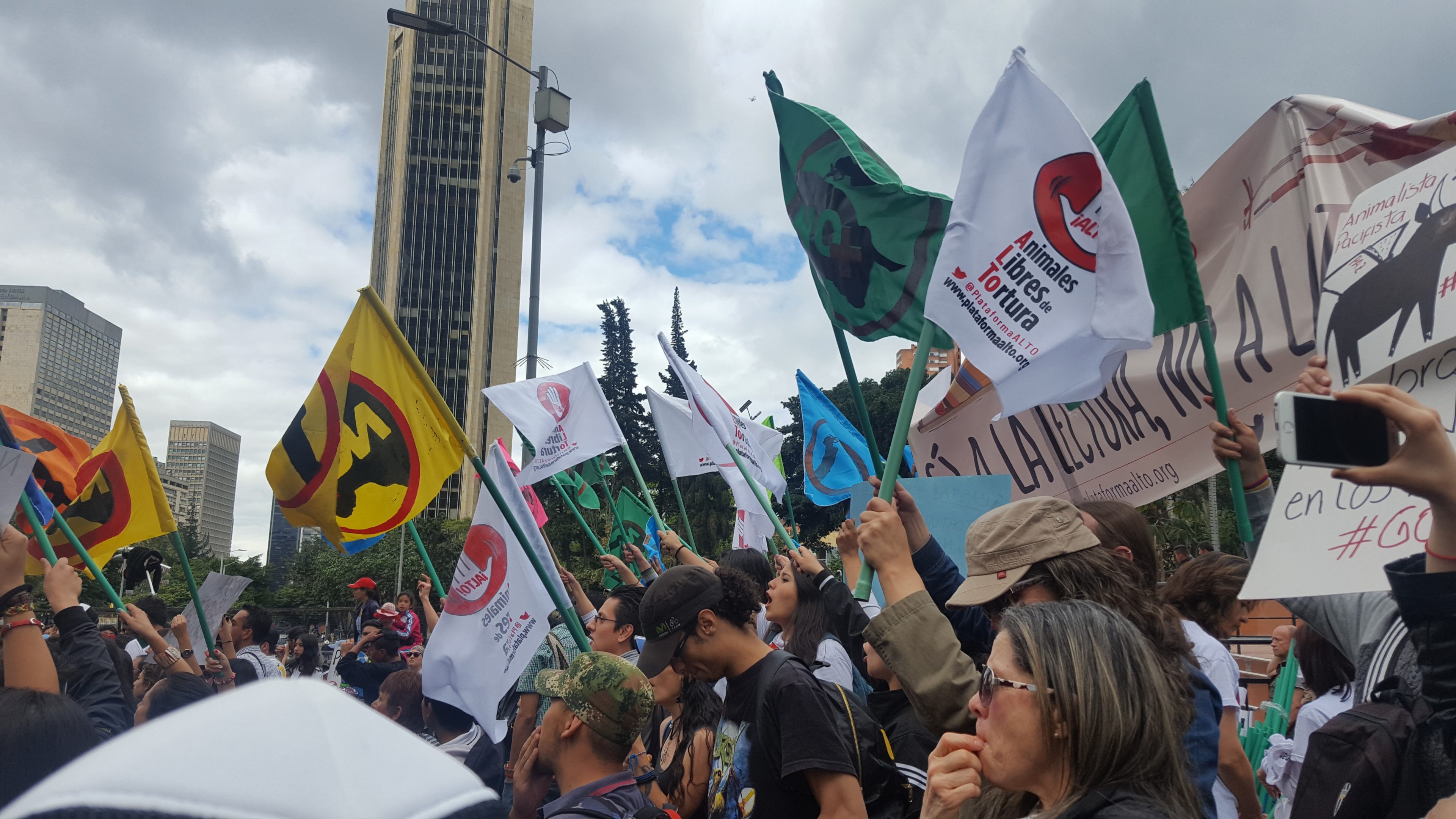 On a cloudy day, people stand, holding flags and signs, during a protest against bull fighting in Colombia.