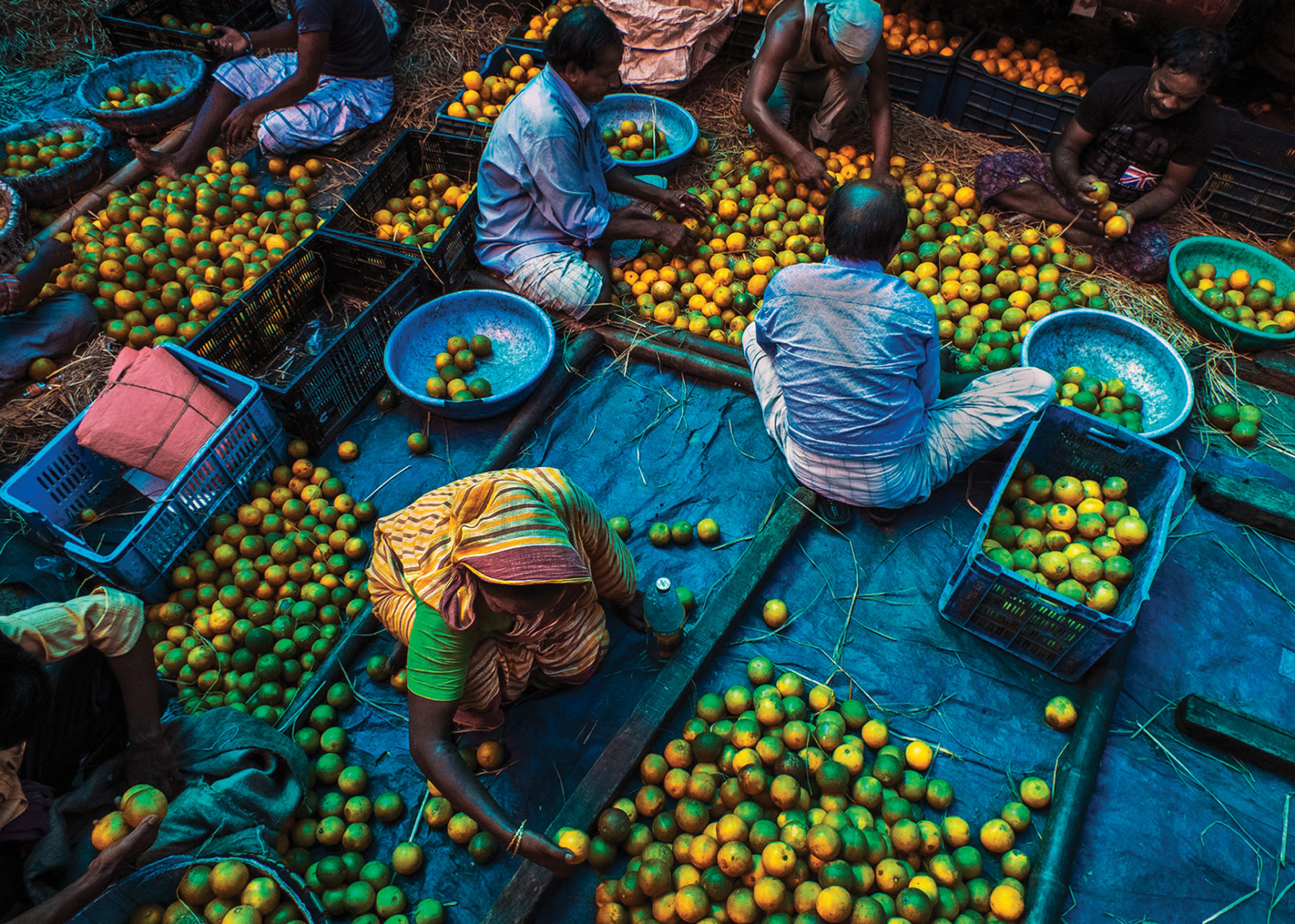 People sit on the ground sorting fruit