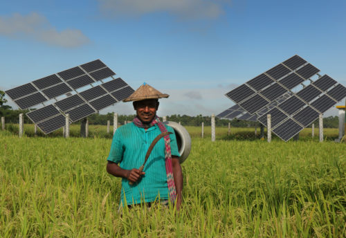 A man stands in a field in front of solar panels