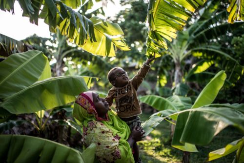 A mother holder her child who is reaching up to touch the leaves of a tree