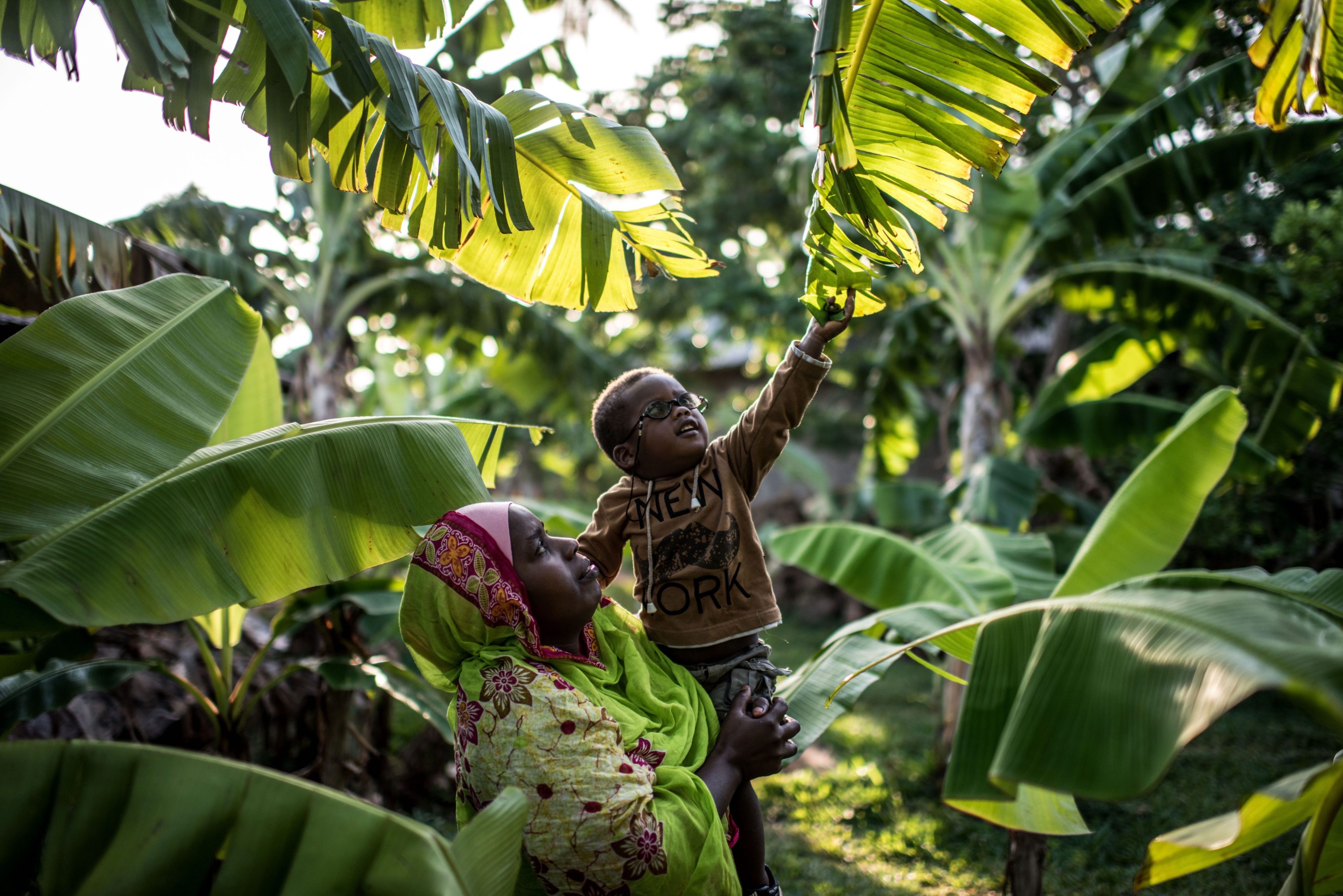 A mother holder her child who is reaching up to touch the leaves of a tree