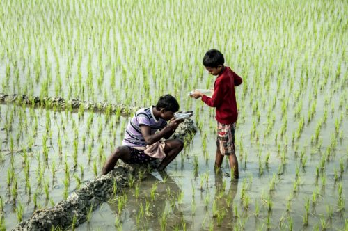 Little boy standing in the marsh, pours water from a bottle into a vessel that a young man drinks from as he sit on a log..