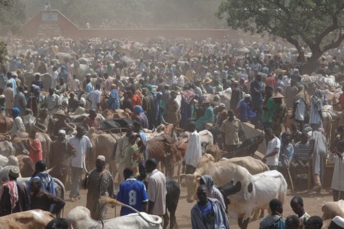 In Burkina Faso, a large group ranchers and herders gather in an open space.