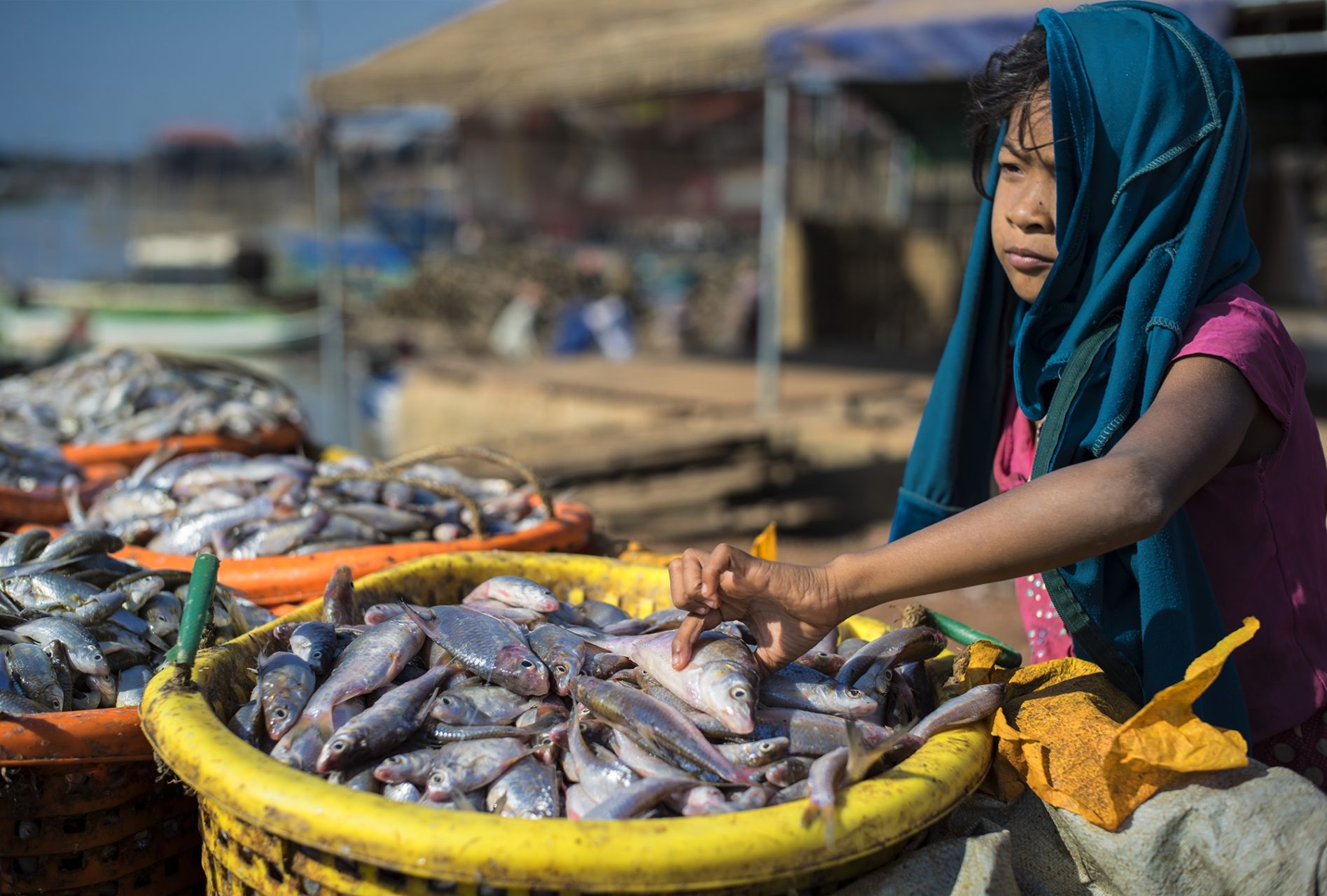 Little girl reaches out into a bucket of fish as she stares out into the distance.