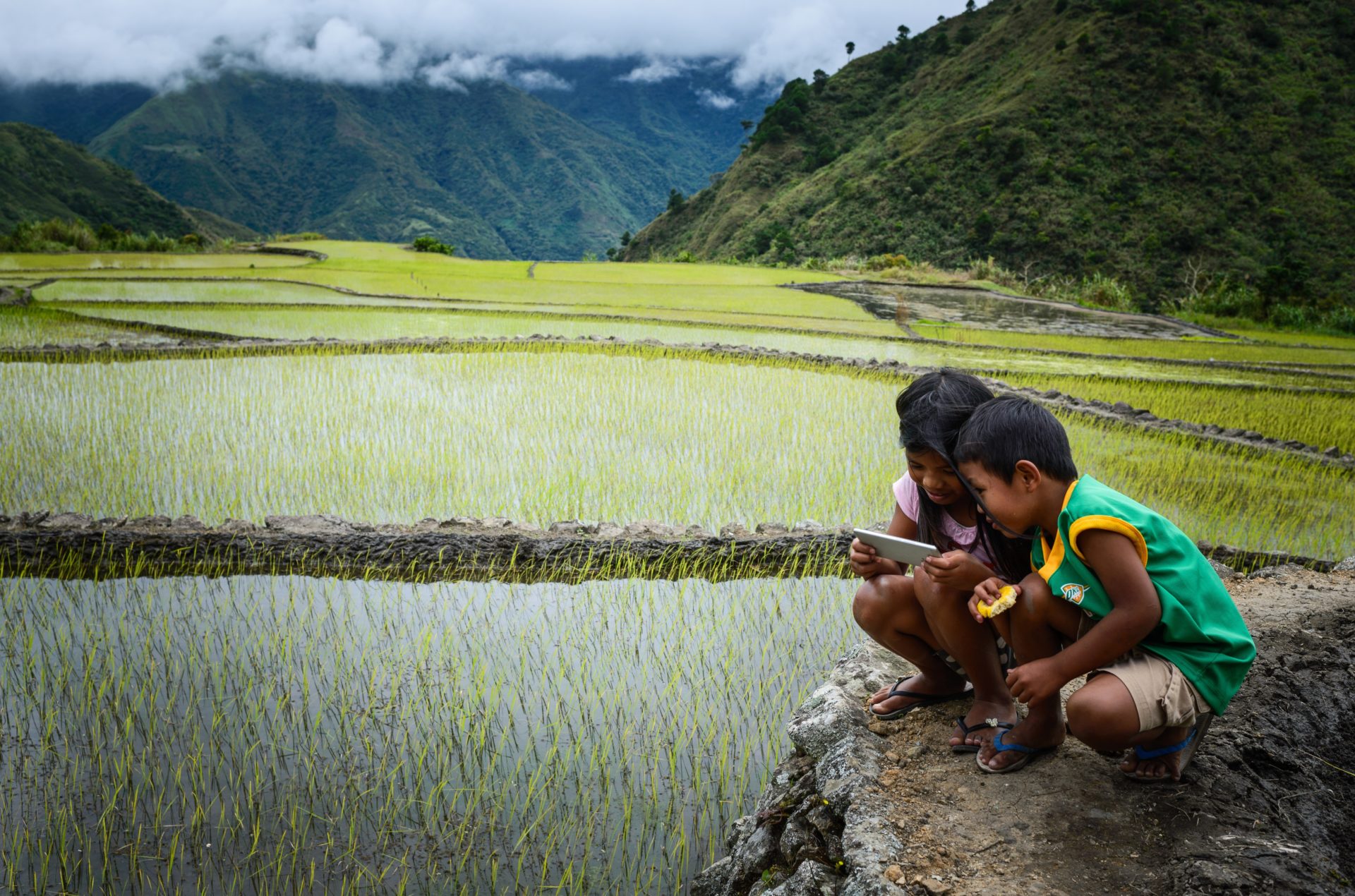 A young boy read from a smart phone on the edge of a rock in a marsh.