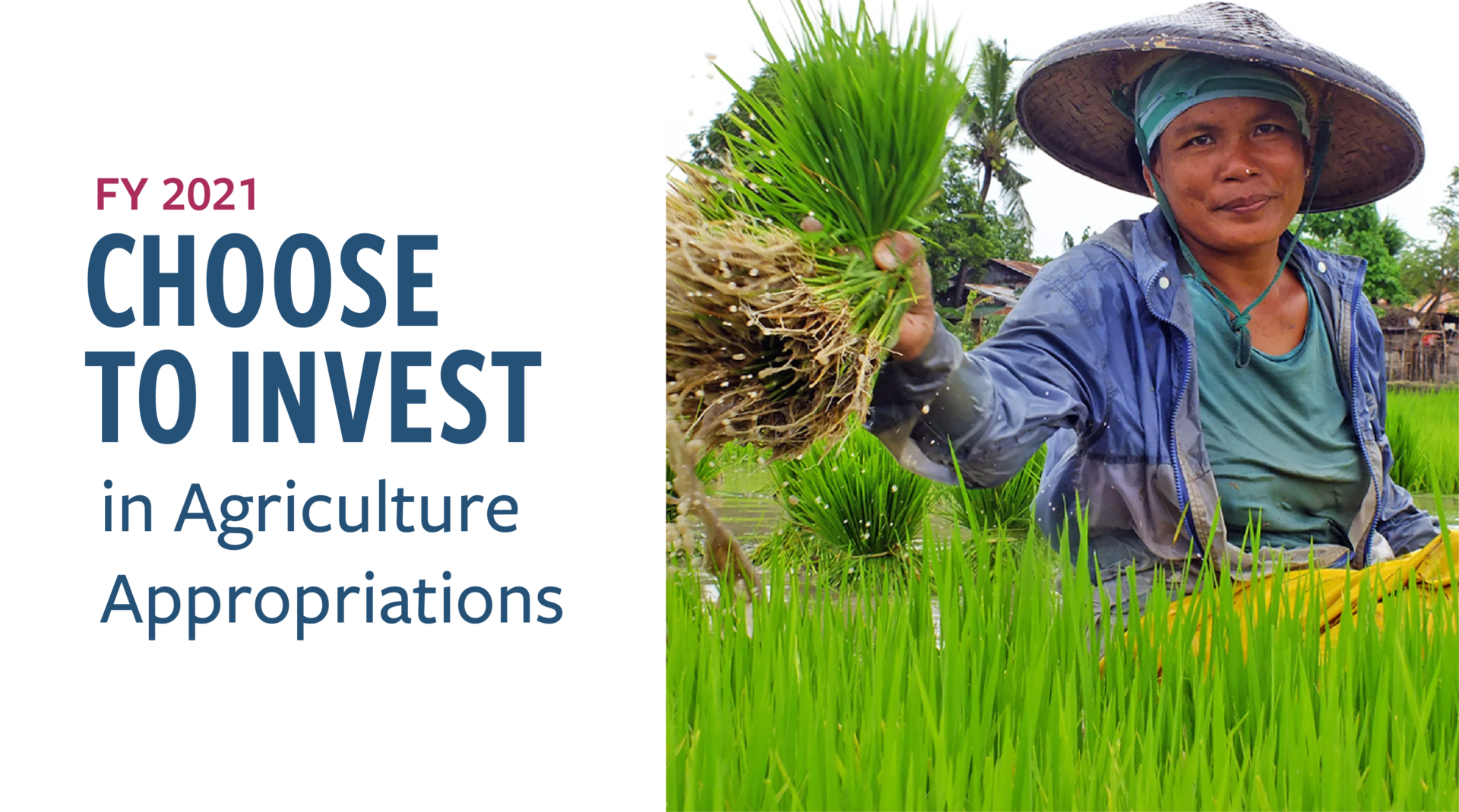 Agriculture Appropriations Bill InterAction