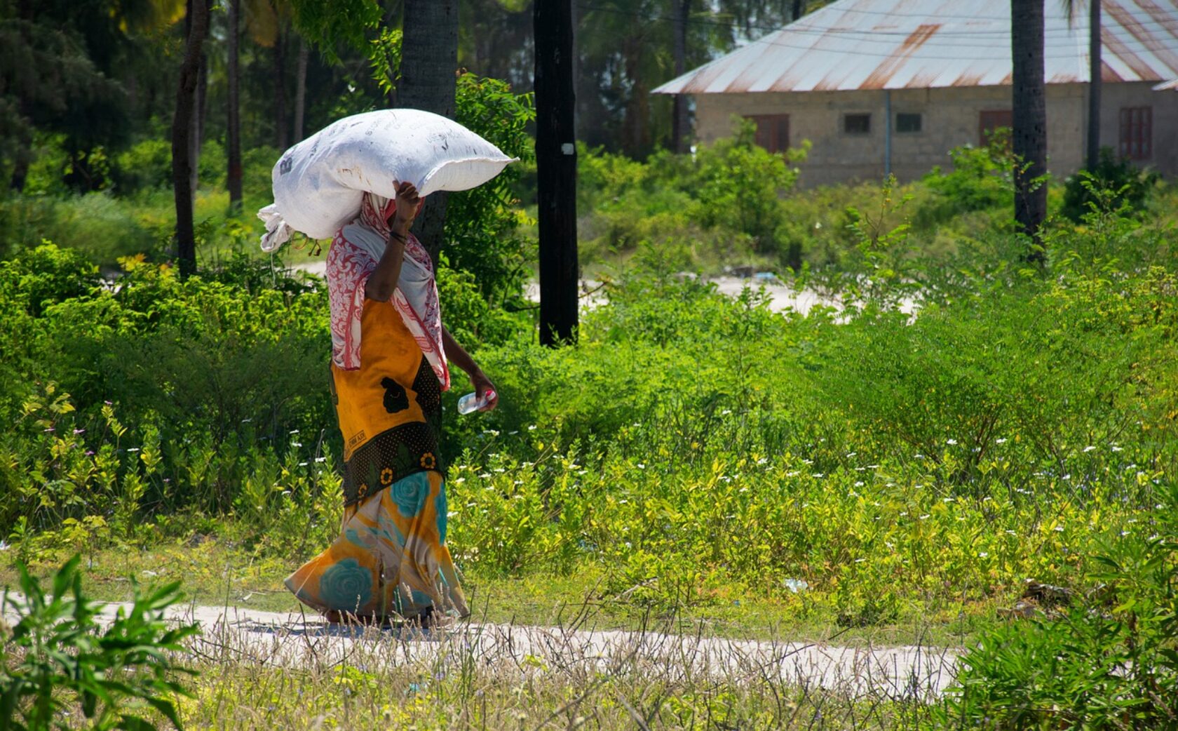 7 Steps To Combat Disinformation Interaction