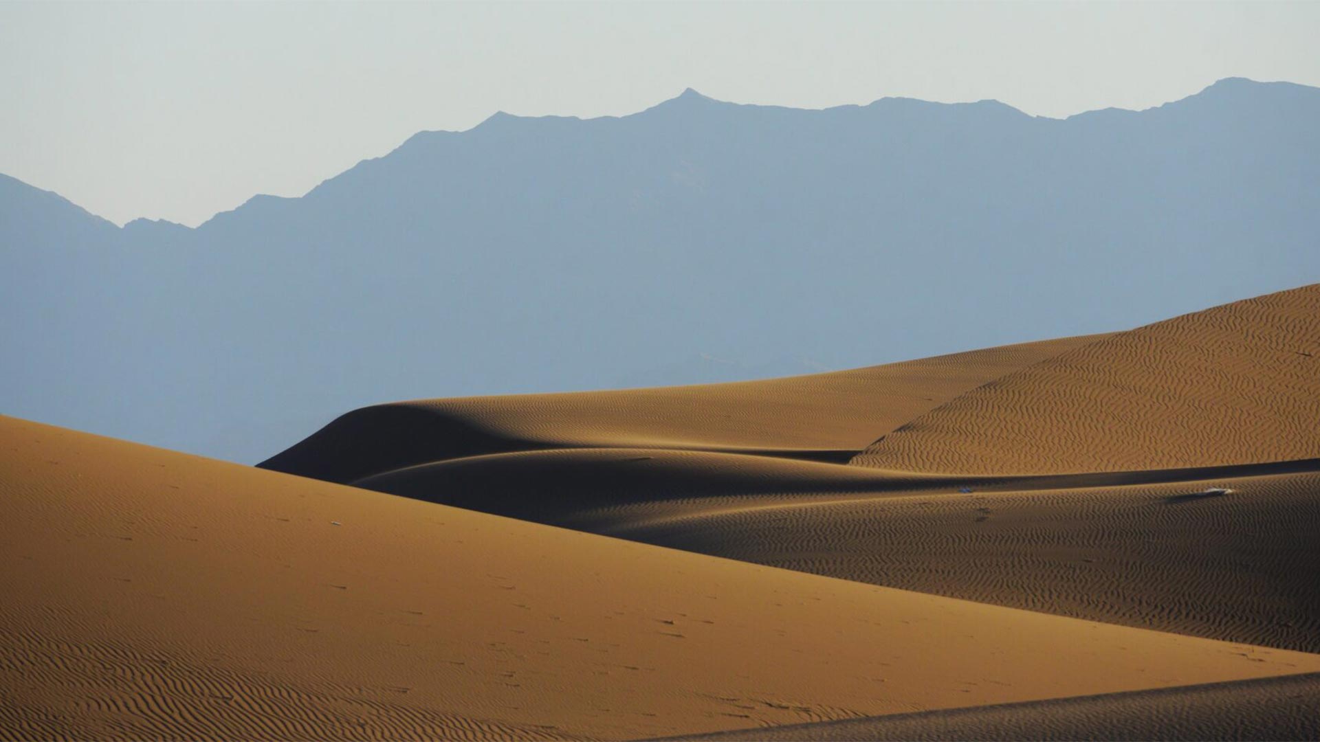 Photo by Mohammad Mahdi Ghane is licensed under the CC BY-NC 4.0 license.